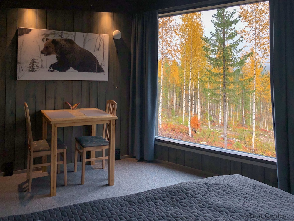 Bear Centre — Kuhmo — photo 4