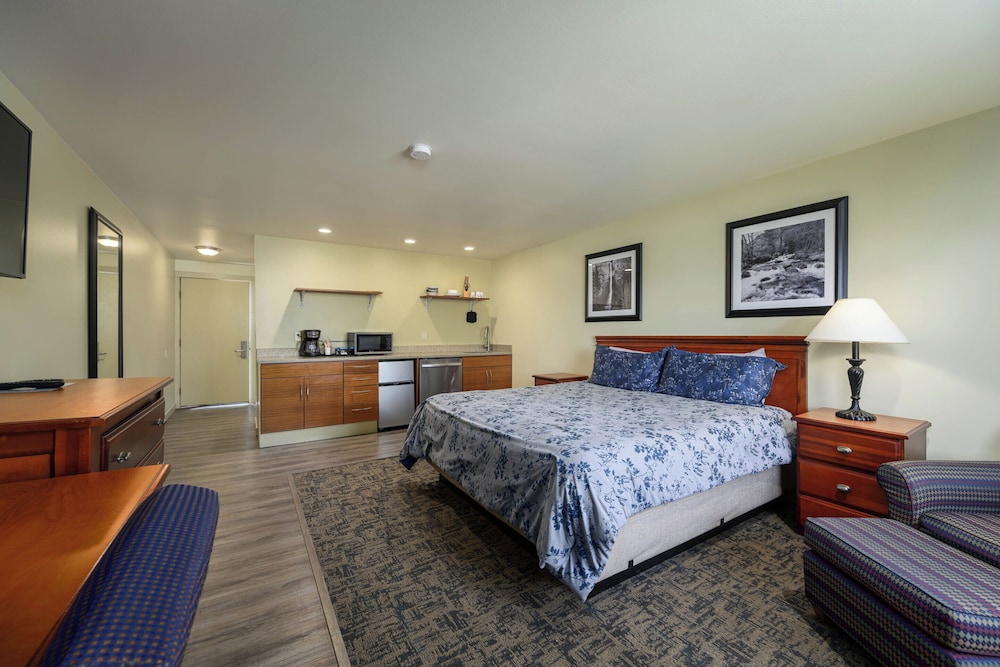 Cocusa Motel - photo 41