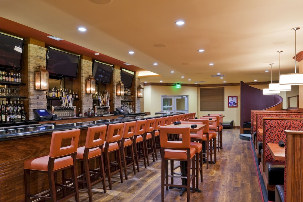 Holiday Inn San Antonio Seaworld by IHG - photo 34