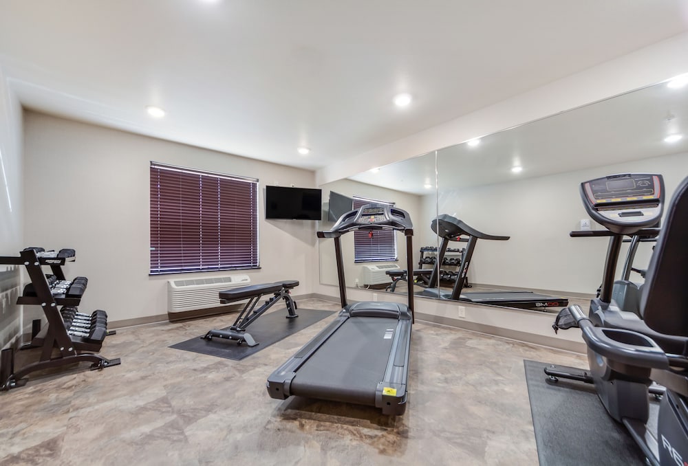 Cobblestone Inn & Suites Fremont - photo 33