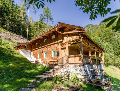 Talsenalm Wald Habitat — Waidring