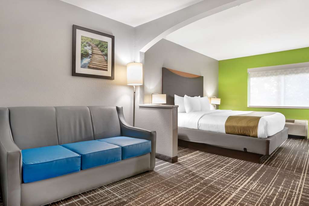 Quality Inn & Suites Birmingham Highway 280 - photo 27
