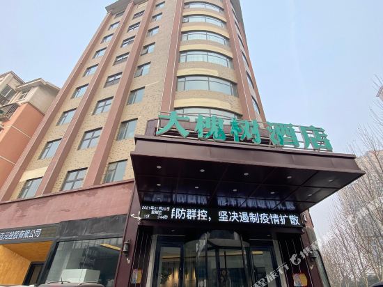 Dahuaishu Hotel in Luoyang, People's Republic of China