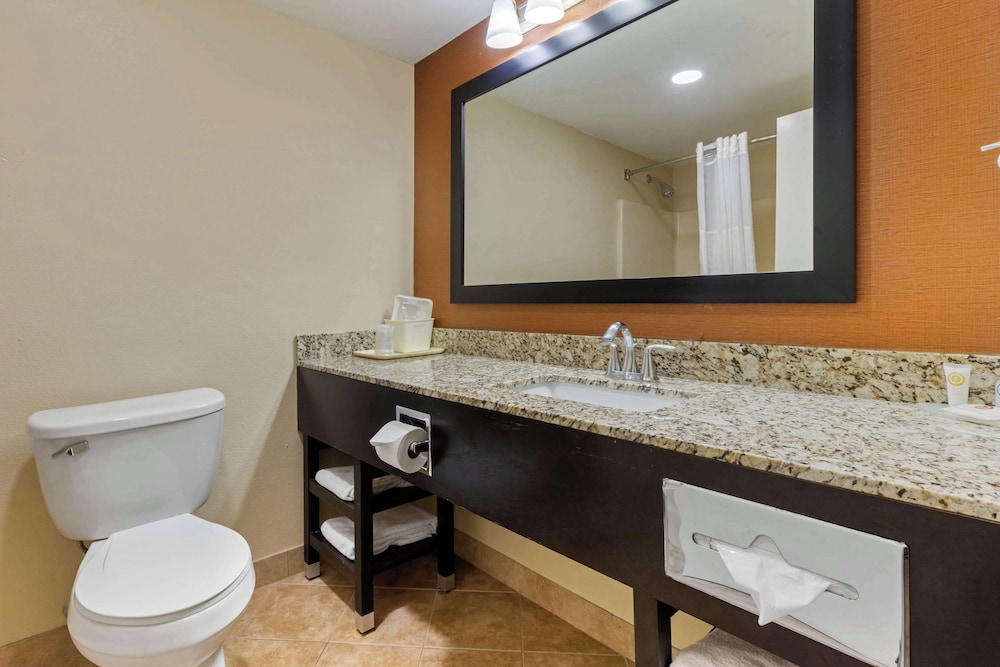Comfort Inn North of Asheville - photo 42
