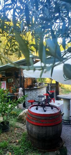 Little Brioni in Unknown City, Slovenia