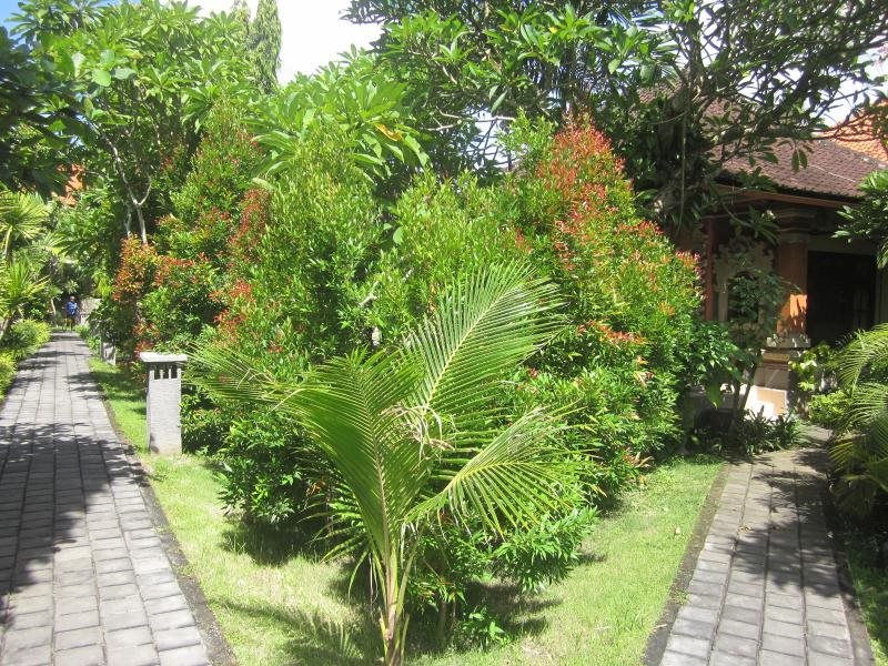 Rita Hotel — Denpasar — photo 5