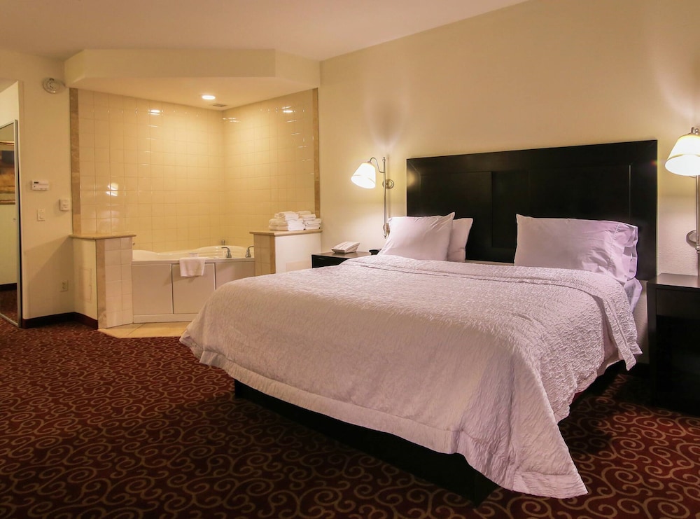 Hampton Inn Kingston - photo 10