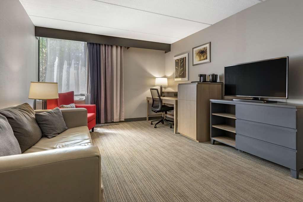 Comfort Inn & Suites Liverpool Syracuse North - photo 21