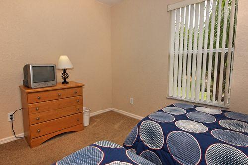 Cheshire Cat's Lair - photo 17