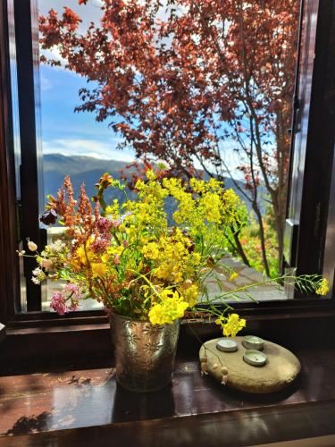 Winter Breeze — Arachova — photo 5