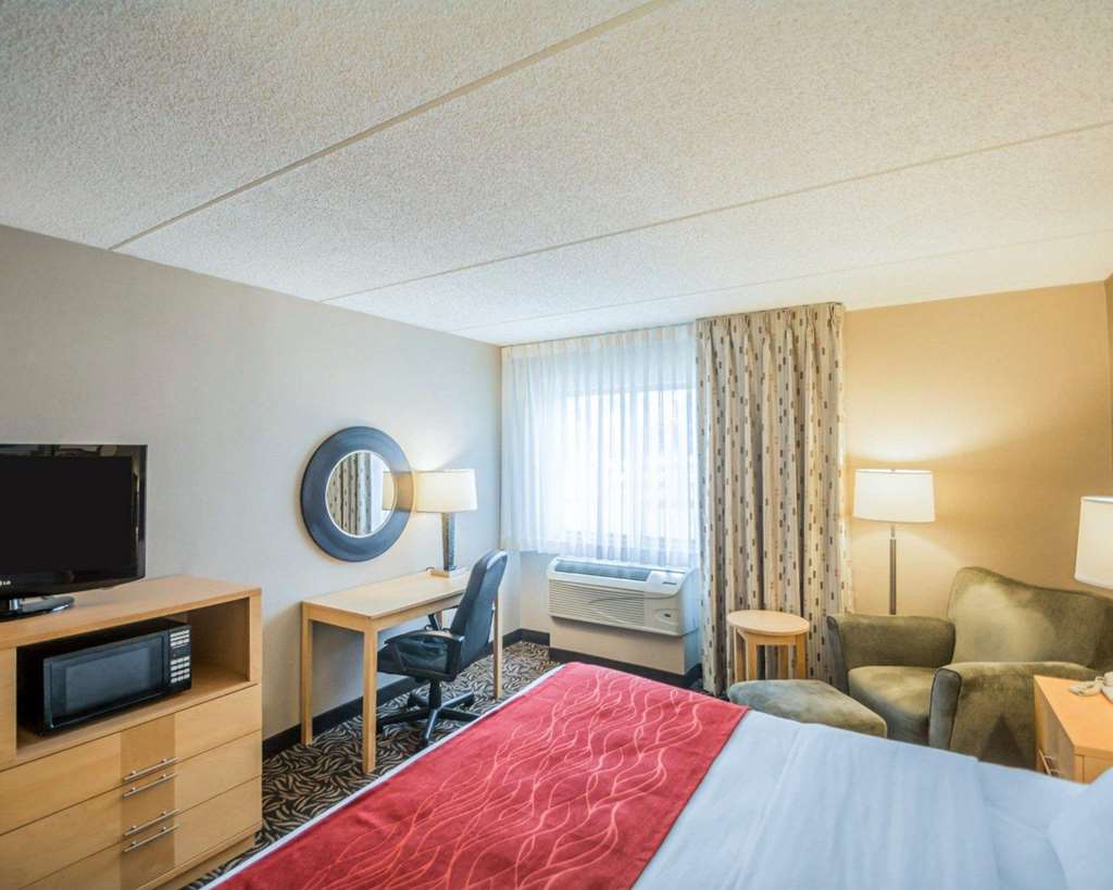 Comfort Inn NYS Fairgrounds - photo 16