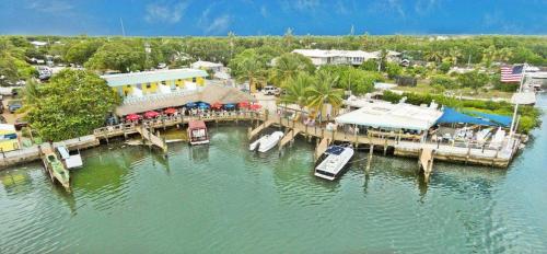 Snappers Key Largo in Key Largo, United States