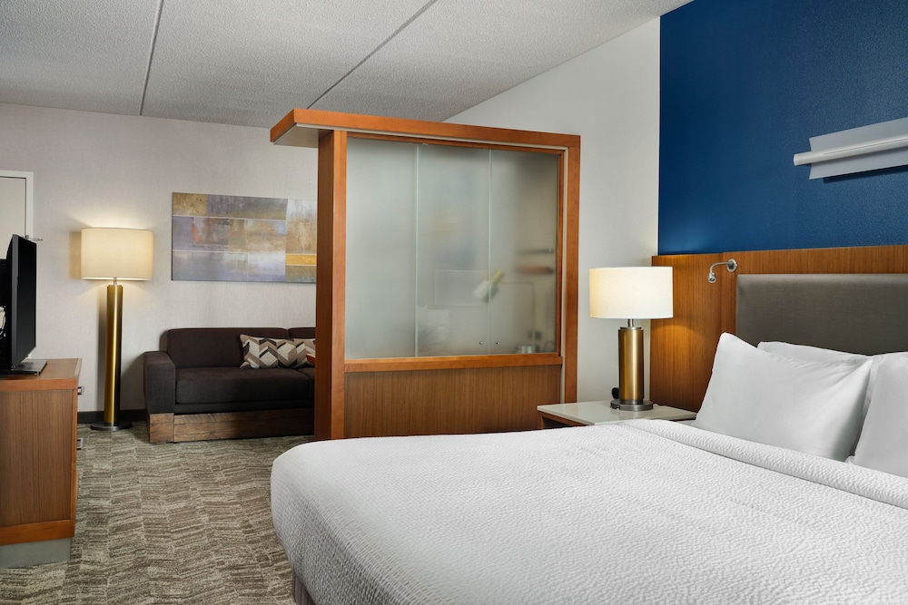 Springhill Suites by Marriott Pittsburgh Mt. Lebanon - photo 12