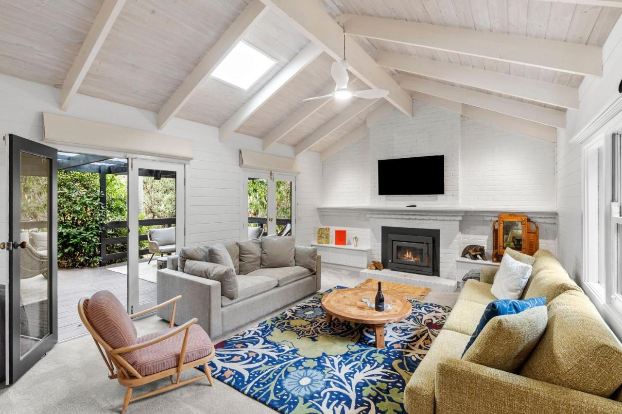 Tawny frog mouth in the trees — carbon neutral stay, Ocean Grove