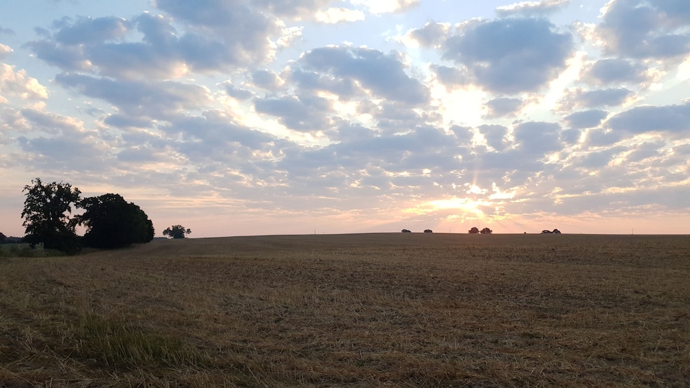 Land view from property