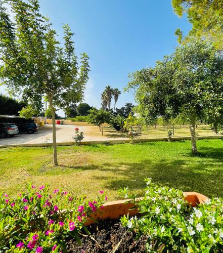 Tenuta Angelini Apartments — 4-Star Luxury Hotel in Otranto, Italy