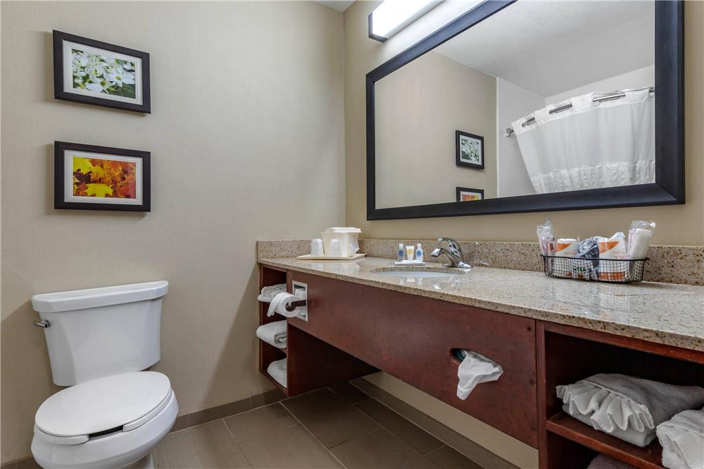 Comfort Inn Shelby - photo 20