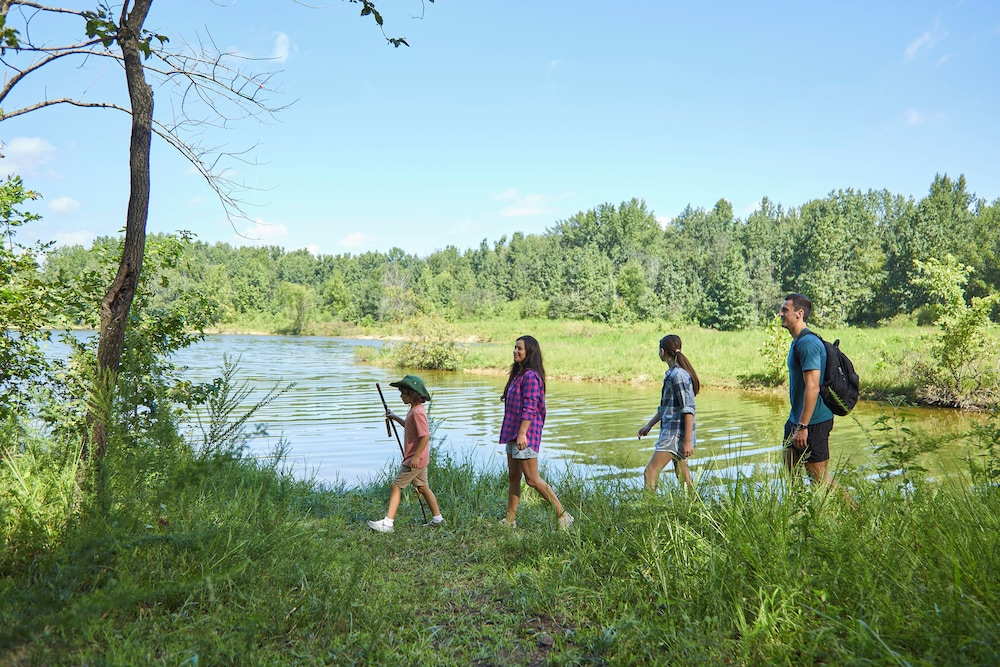 Barren River Lake State Resort Park - photo 39
