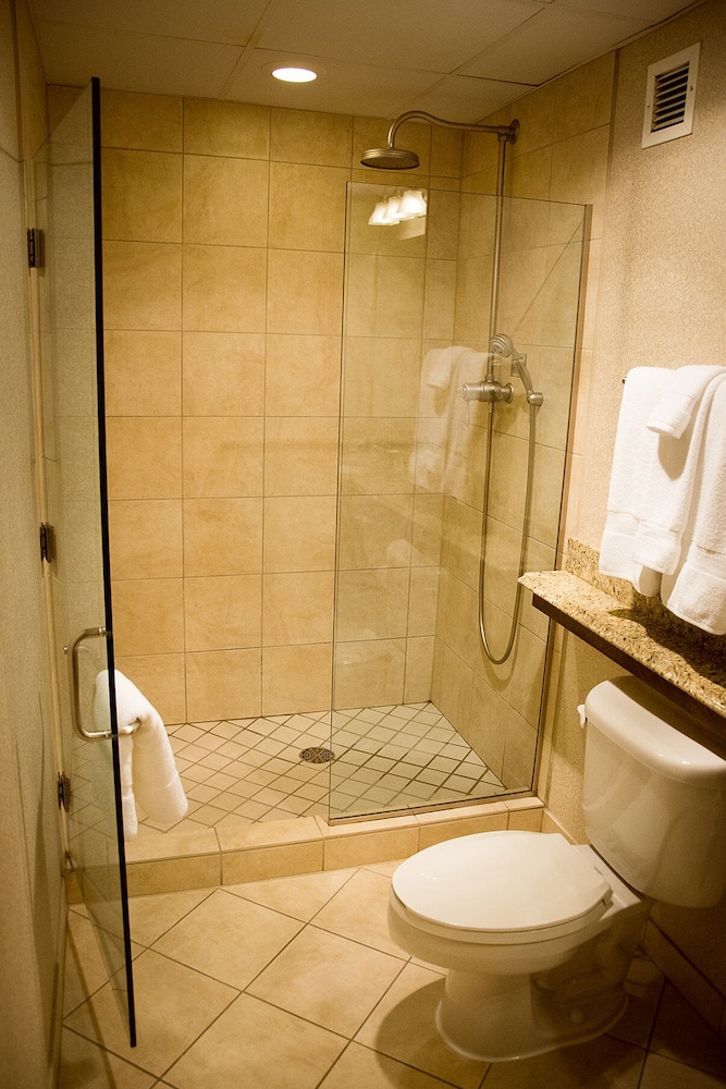 The Blennerhassett Hotel - photo 13