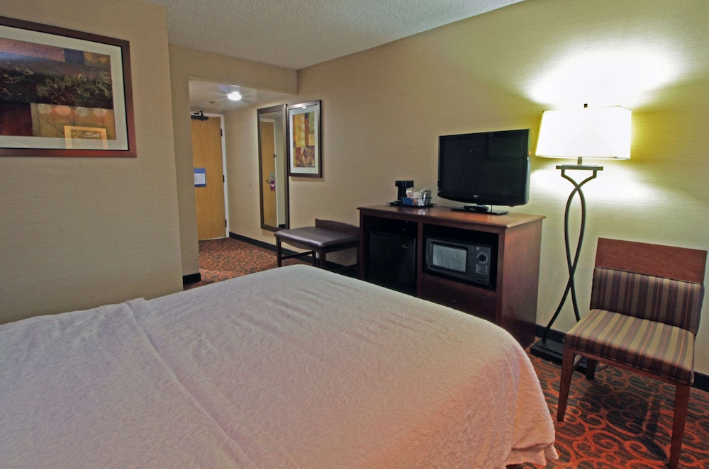 Hampton Inn Norfolk Chesapeake - photo 6