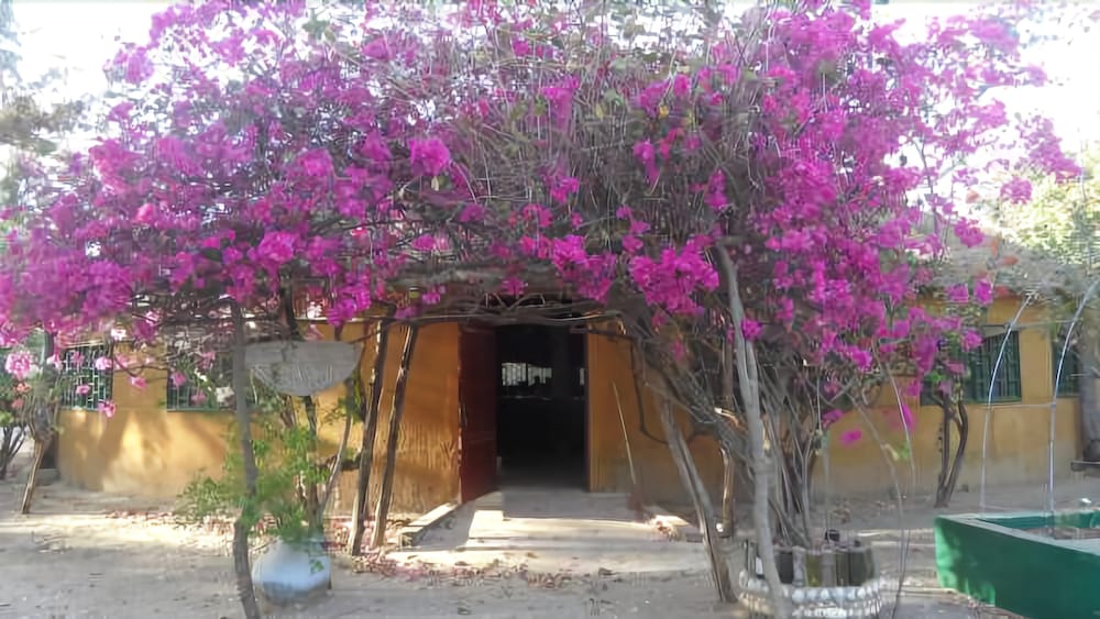 Djidjack in Fatick, Senegal