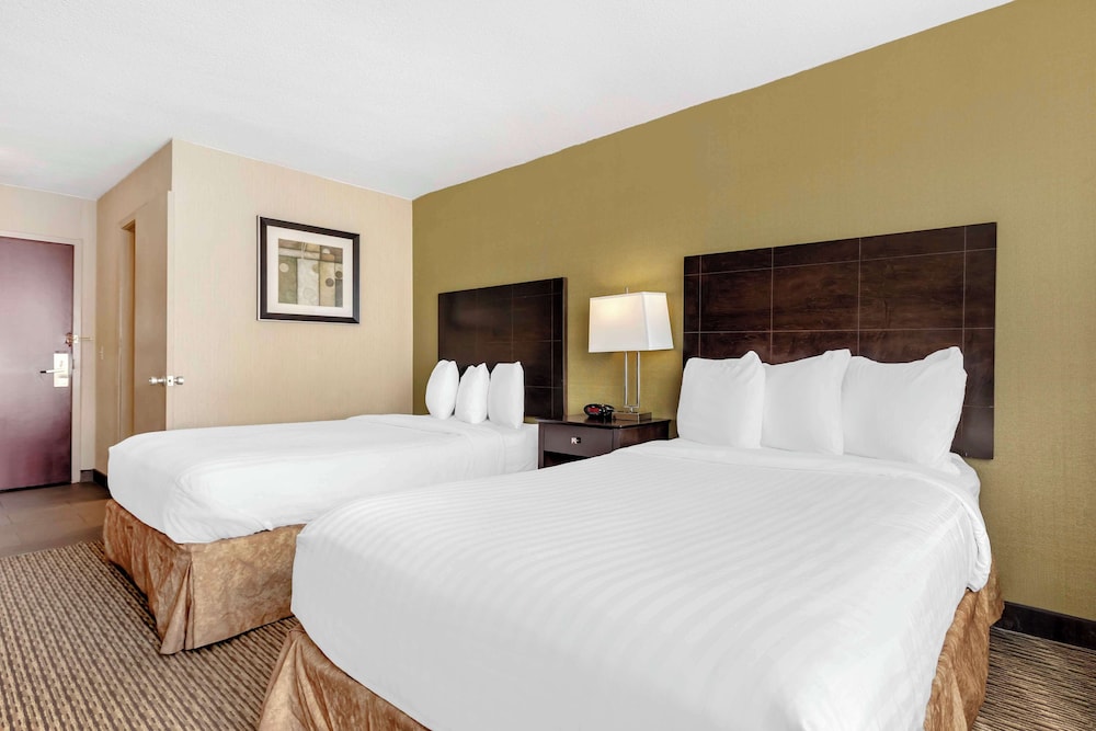 Hotel Watertown - photo 6