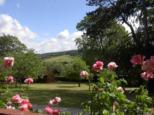 Cedar Lodge — 4-Star Luxury Hotel in Minehead, United Kingdom