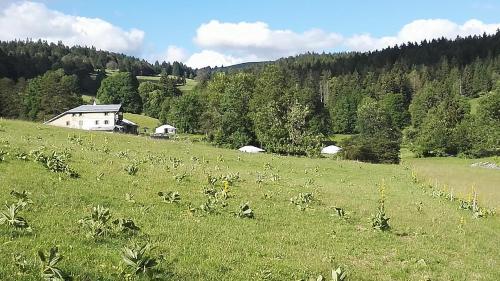 La Petite Echelle - last minute hotel in Unknown City