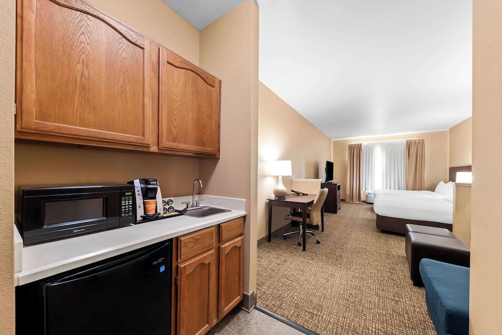 Comfort Suites Roanoke Fort Worth North - photo 16