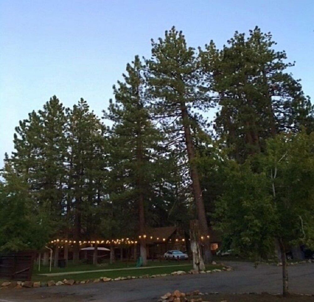 Golden Bear Cottages - photo 126
