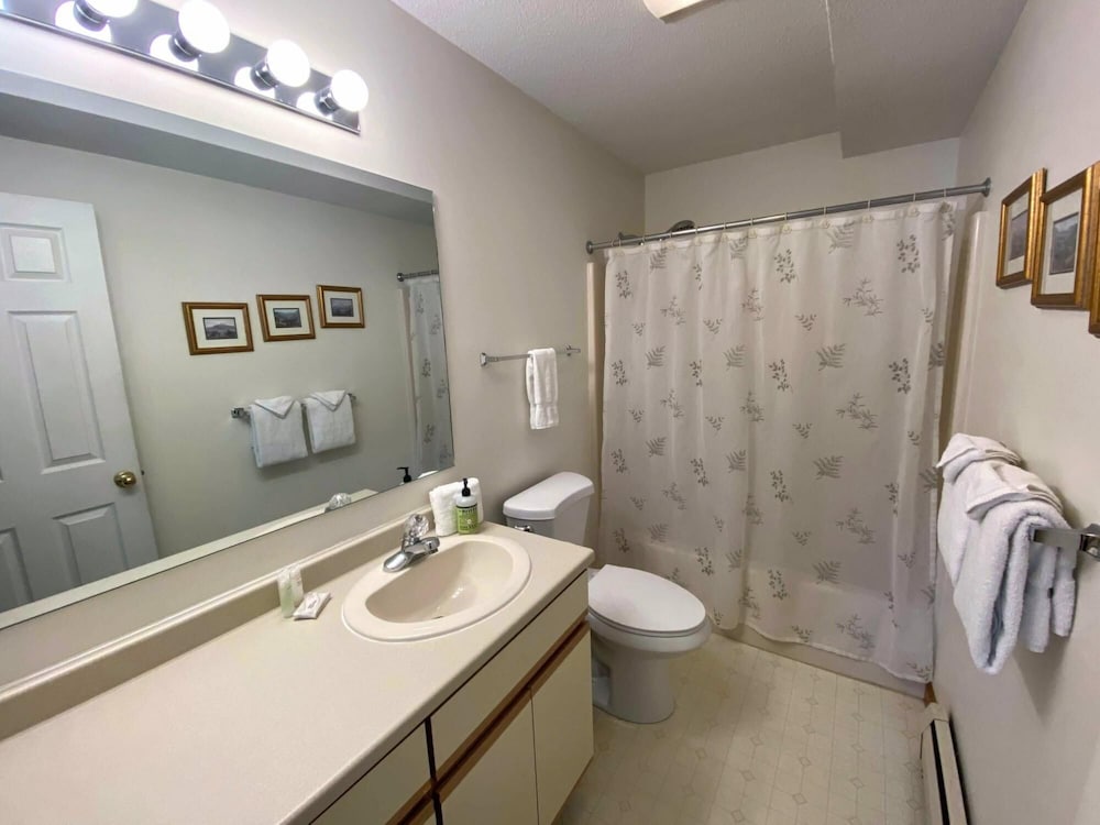S5 Renovated Bretton Woods Resort condo with beautiful mountain views Fast wifi - photo 9