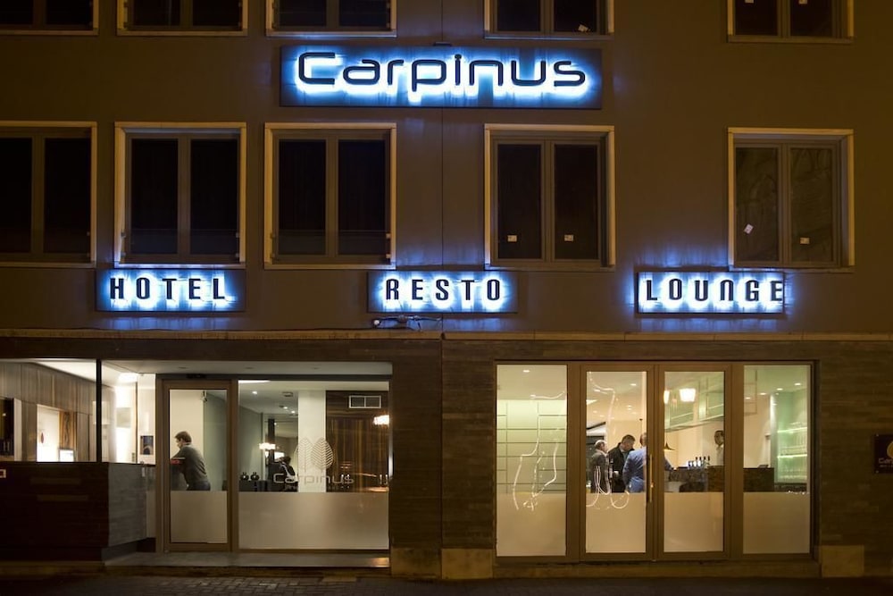 Hotel Carpinus — hotel in Herent