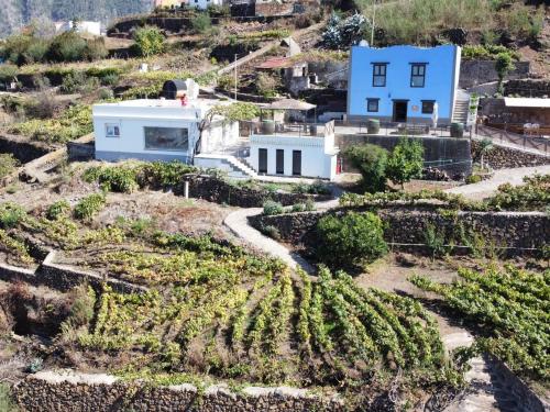 Ek Teide Finca El Milagro — La Orotava