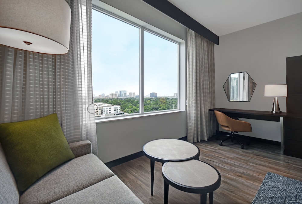 Holiday Inn Express Houston Galleria Area by IHG - photo 20