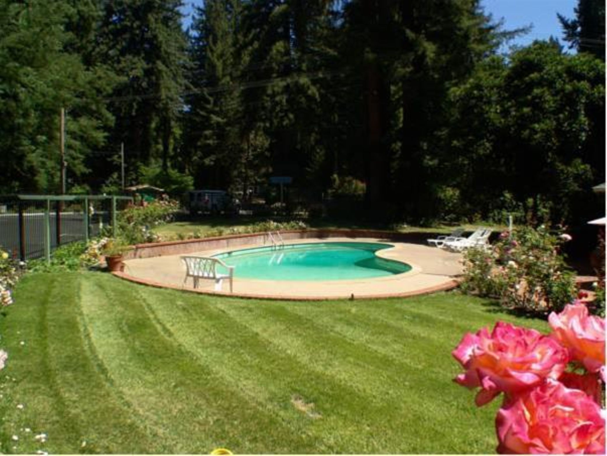 Quality Inn & Suites Santa Cruz Mountains - photo 37
