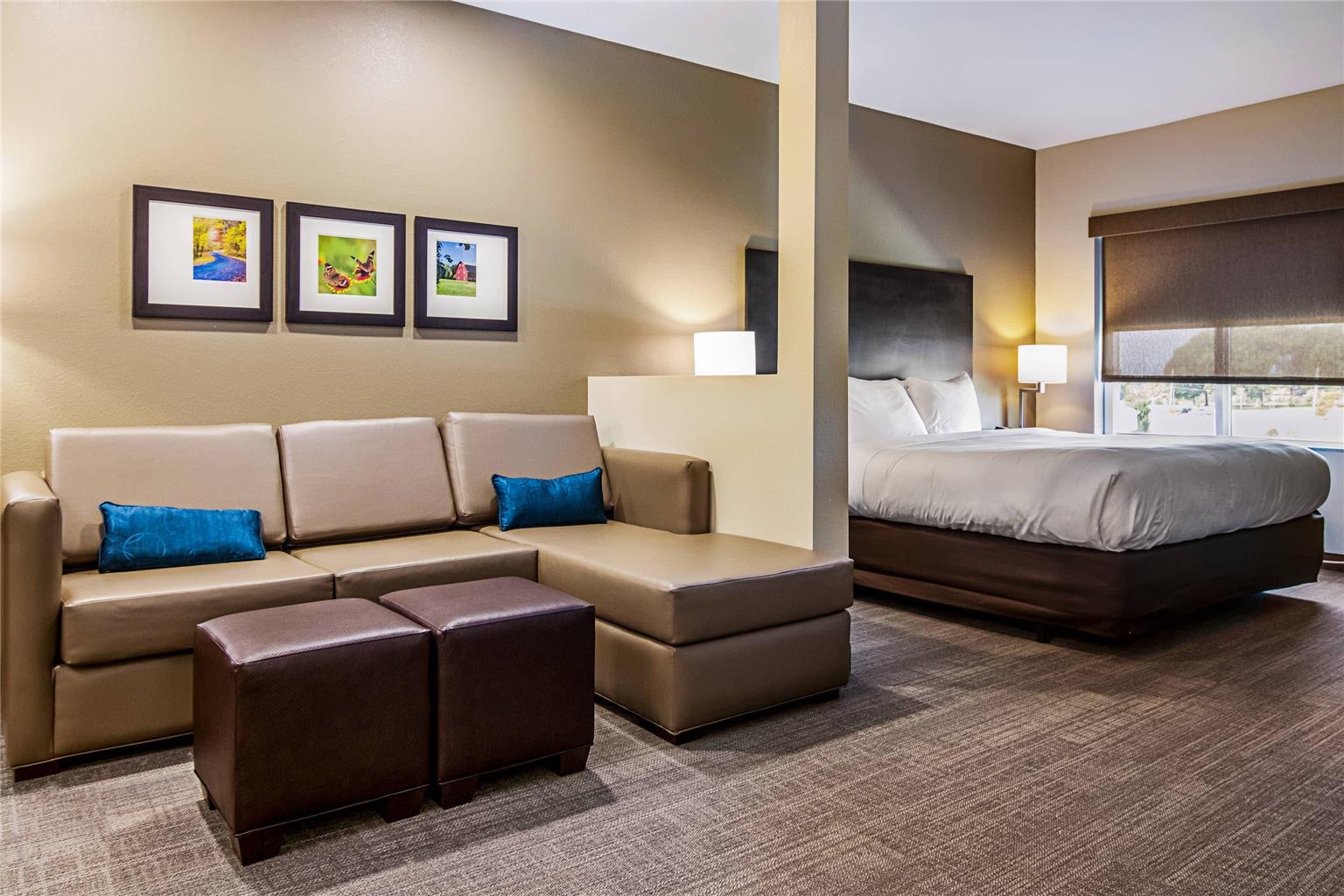 Comfort Suites Wooster near University Campus - photo 11