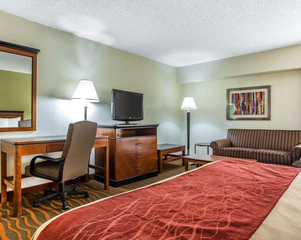 Comfort Inn Conyers - photo 19
