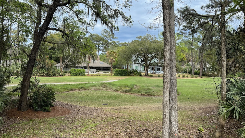 5 Laughing Gull at The Sea Pines Resort - photo 4