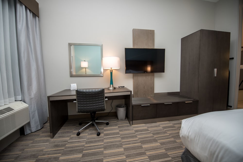 Holiday Inn Express & Suites Lake Charles South Casino Area by IHG - photo 42