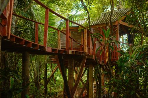 Tukulolo Treehouses — Unknown City — photo 2