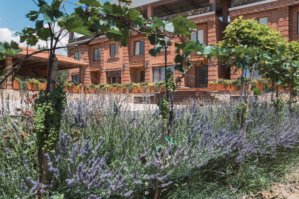 My Georgian village in Sagarejo, Georgia