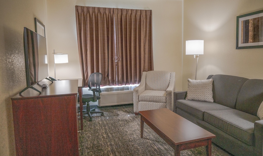 Cobblestone Hotel & Suites Lamar - photo 21