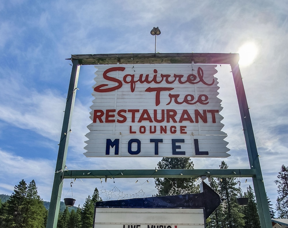 Squirrel Tree Resort - featured photo