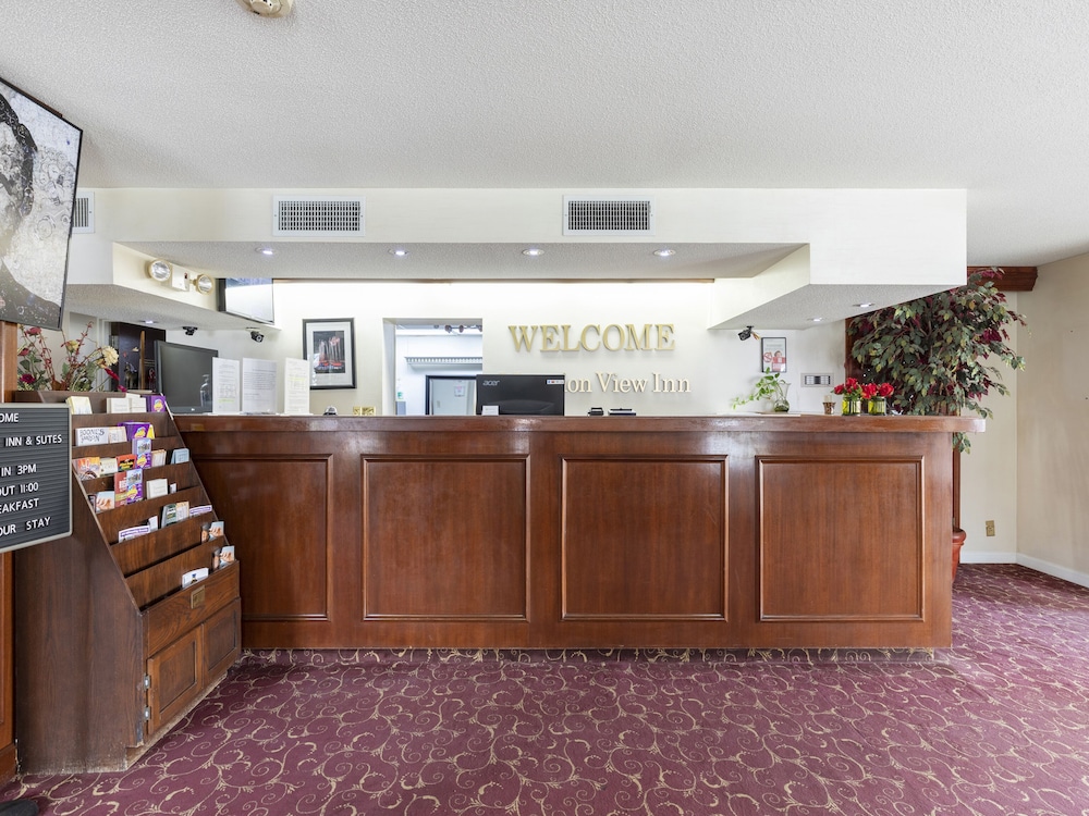 Mansion View Inn and Suite - photo 7