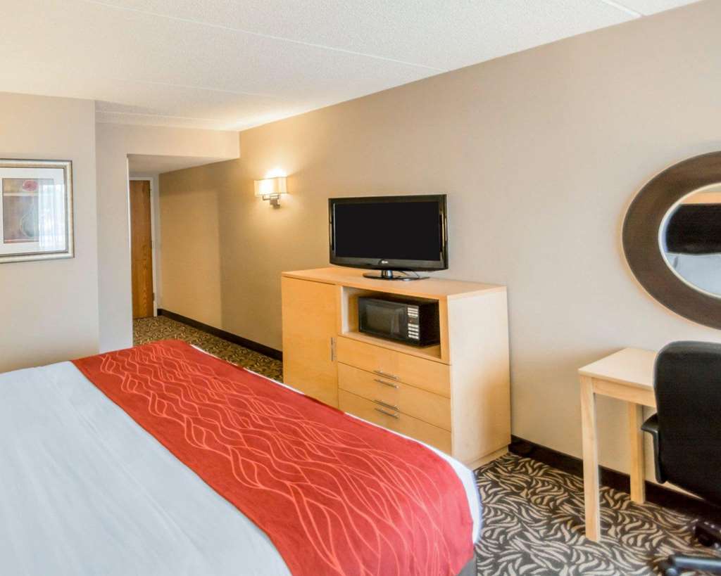 Comfort Inn NYS Fairgrounds - photo 17