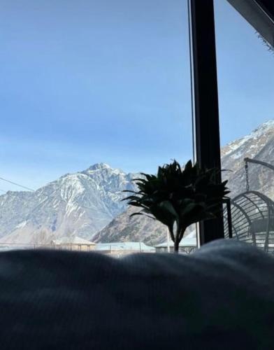 Alpine Escape Kazbegi