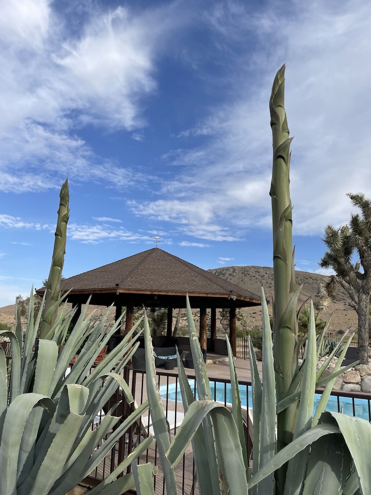Calmada Private Resort - photo 39