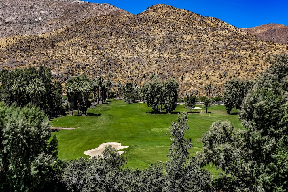 Hyatt Palm Springs - photo 27