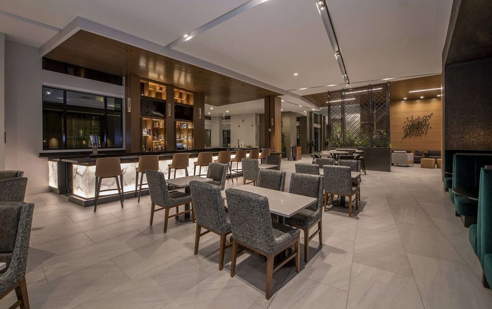Embassy Suites By Hilton Asheville Downtown - photo 60