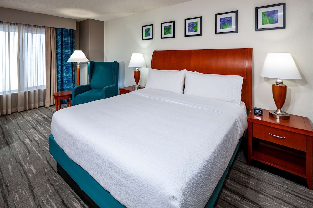 Hilton Garden Inn Chicago OHare Airport - photo 8